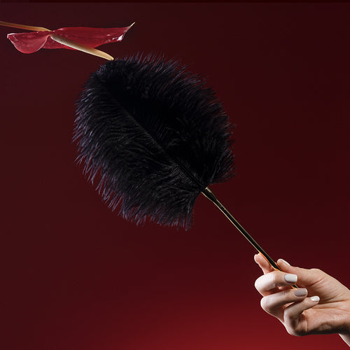 UPKO Feather tickler